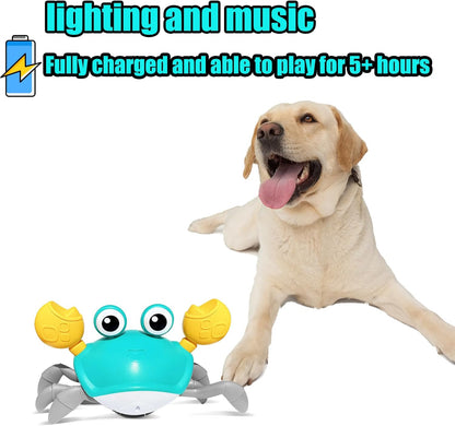 Crawling Crab Toy - Crawl, Play, Laugh!!