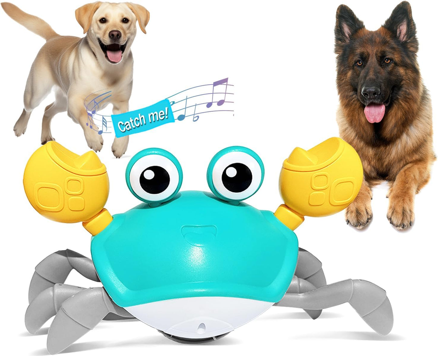 Crawling Crab Toy - Crawl, Play, Laugh!!