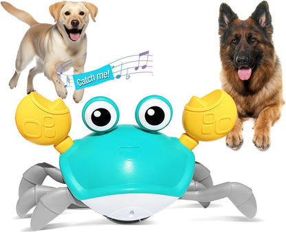 Crawling Crab Toy - Crawl, Play, Laugh!!