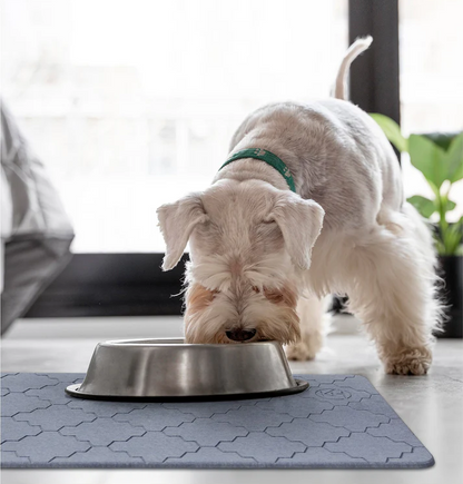 No Slip Floor Mat - Absorbent Mat for Your Dry, Fresh Floors